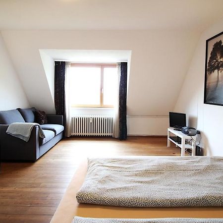 Zentrale Stadtwohnung - direkt am Main, Park-Ausblick Würzburg Exterior foto